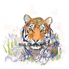 Maalid numbrite järgi A360