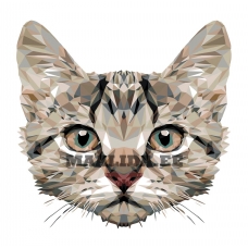 Maalid numbrite järgi A368