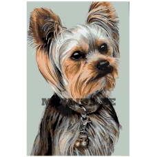 Maalid numbrite järgi A370