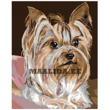 Maalid numbrite järgi A372