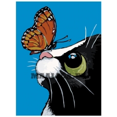 Maalid numbrite järgi A376