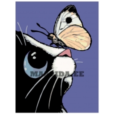 Maalid numbrite järgi A377