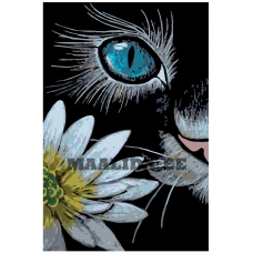 Maalid numbrite järgi A379