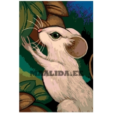 Maalid numbrite järgi A381