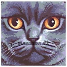 Maalid numbrite järgi A383