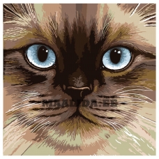 Maalid numbrite järgi A384