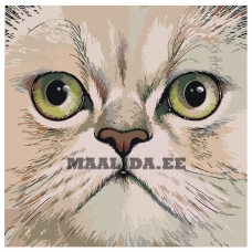 Maalid numbrite järgi A385