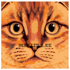 Maalid numbrite järgi A386