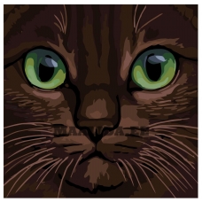 Maalid numbrite järgi A387