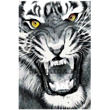 Maalid numbrite järgi A395