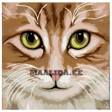 Maalid numbrite järgi A396