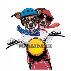 Maalid numbrite järgi A401