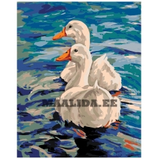 Maalid numbrite järgi A402