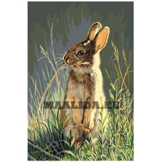 Maalid numbrite järgi A404