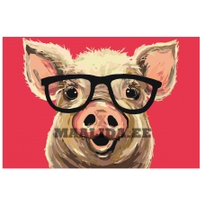 Maalid numbrite järgi A406