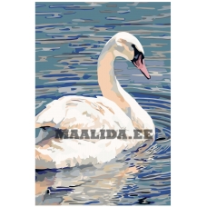 Maalid numbrite järgi A408