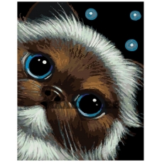 Maalid numbrite järgi A413