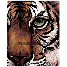 Maalid numbrite järgi A415