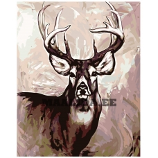 Maalid numbrite järgi A417