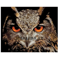 Maalid numbrite järgi A422