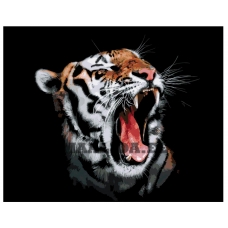 Maalid numbrite järgi A424