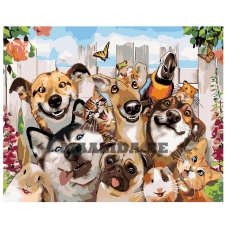 Maalid numbrite järgi A427