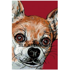 Maalid numbrite järgi A428