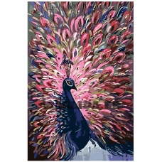 Maalid numbrite järgi A429