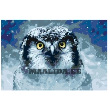 Maalid numbrite järgi A430