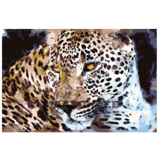 Maalid numbrite järgi A432