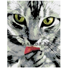 Maalid numbrite järgi A434