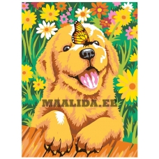 Maalid numbrite järgi A43