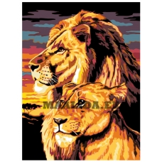 Maalid numbrite järgi A44