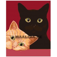 Maalid numbrite järgi A451