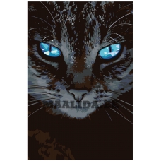 Maalid numbrite järgi A452