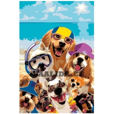 Maalid numbrite järgi A457