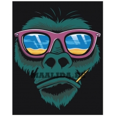 Maalid numbrite järgi A466