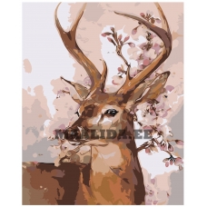 Maalid numbrite järgi A467