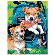 Maalid numbrite järgi A47