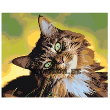 Maalid numbrite järgi A500