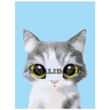 Maalid numbrite järgi A508