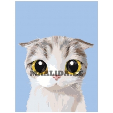 Maalid numbrite järgi A509