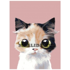 Maalid numbrite järgi A510