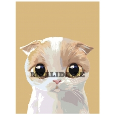 Maalid numbrite järgi A511