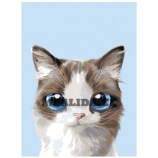 Maalid numbrite järgi A512