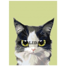 Maalid numbrite järgi A513