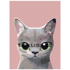 Maalid numbrite järgi A515