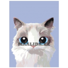 Maalid numbrite järgi A517