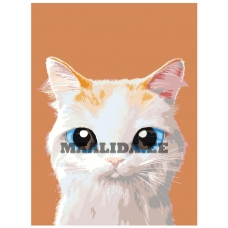 Maalid numbrite järgi A518