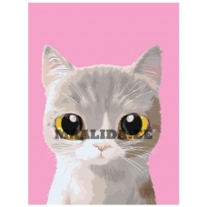 Maalid numbrite järgi A519